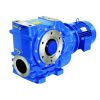 Series C – Helical worm geared motor - Hình ảnh 2
